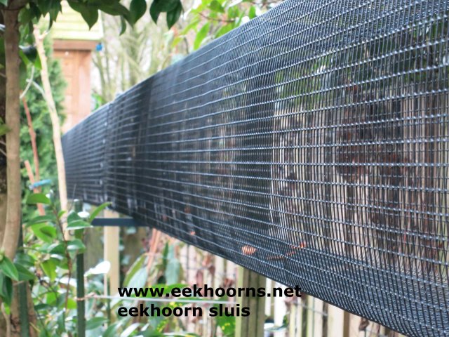 sluis voor tamiops