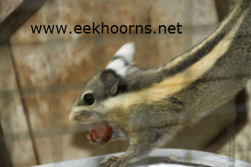 IMG_4945500txt.jpg