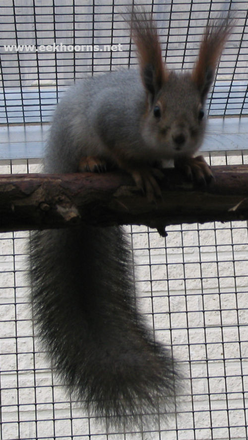 IMG_6972sib1txt.jpg